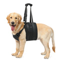 Mobility Lift Harness
